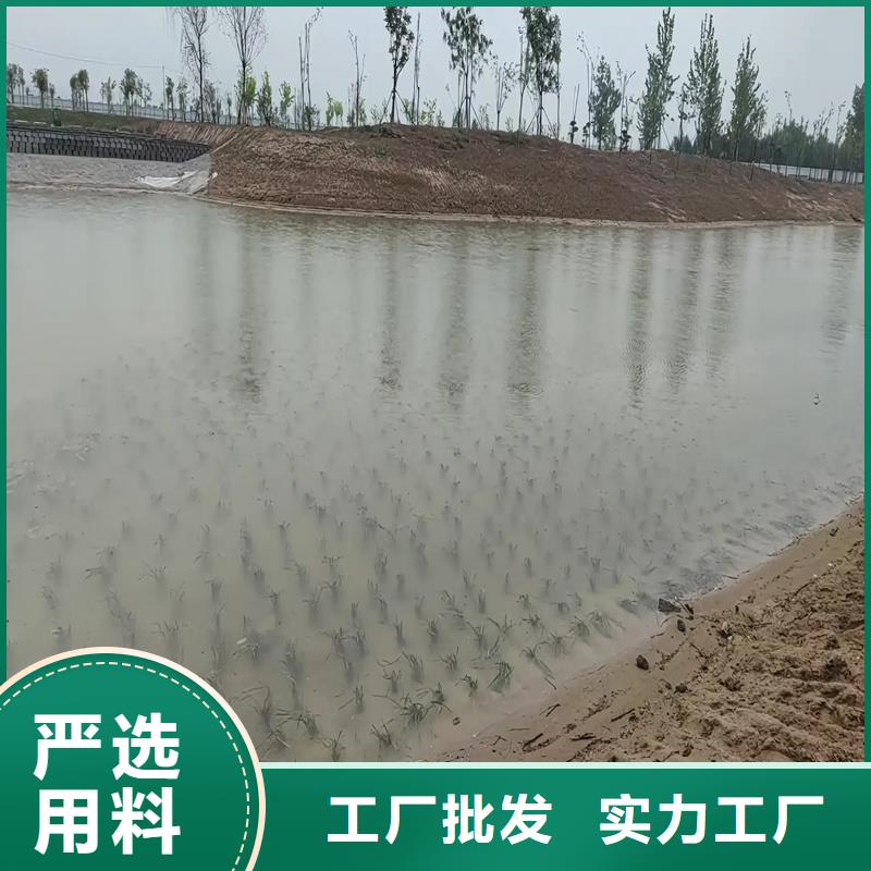 伊樂藻質(zhì)量過硬