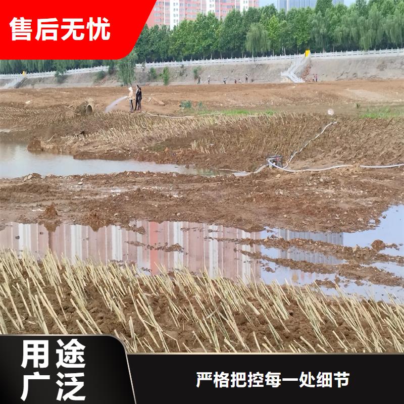 蘆葦種子-歡迎您