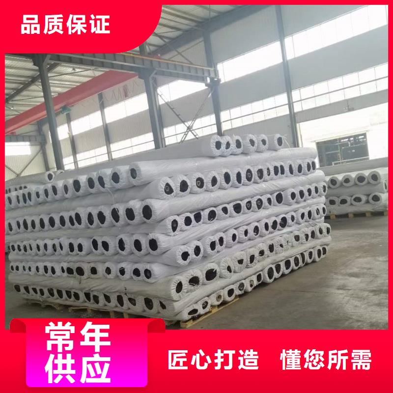 經(jīng)編土工格柵型號齊全