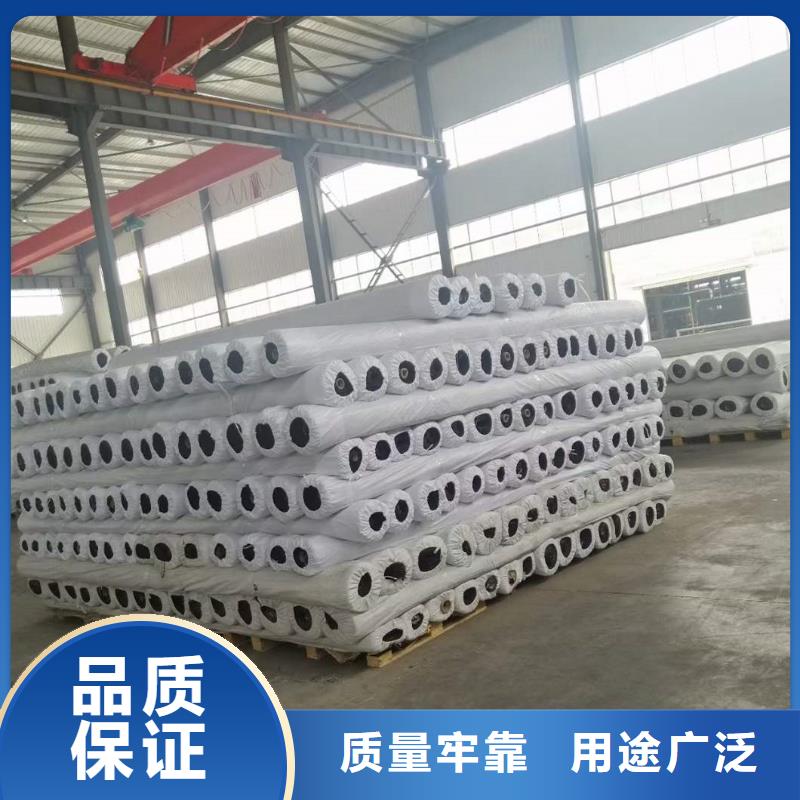 單向土工格柵量大價優(yōu)