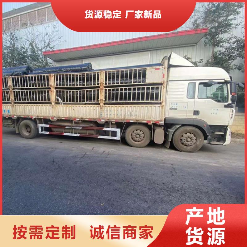 玻璃纖維土工格柵現(xiàn)貨供應(yīng)