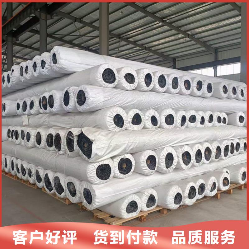 玻纖土工格柵現(xiàn)貨供應