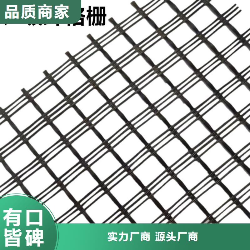 鋼塑土工格柵型號(hào)齊全