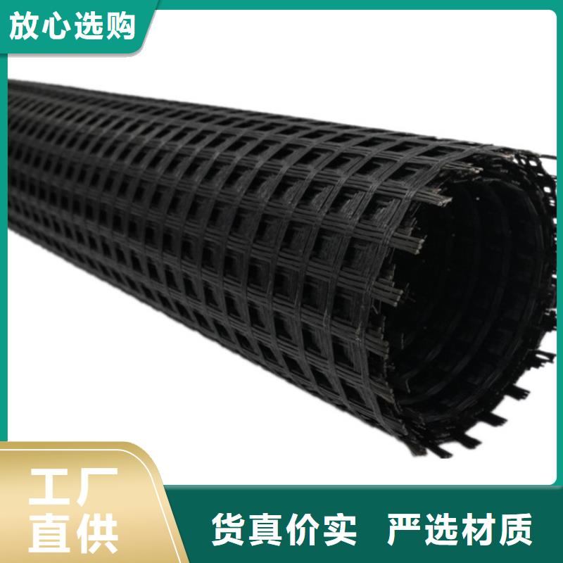 鋼塑土工格柵型號(hào)齊全