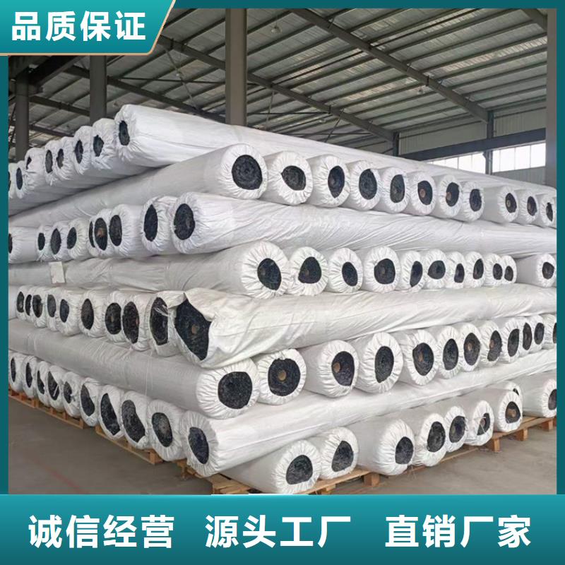 經(jīng)編土工格柵全國發(fā)貨