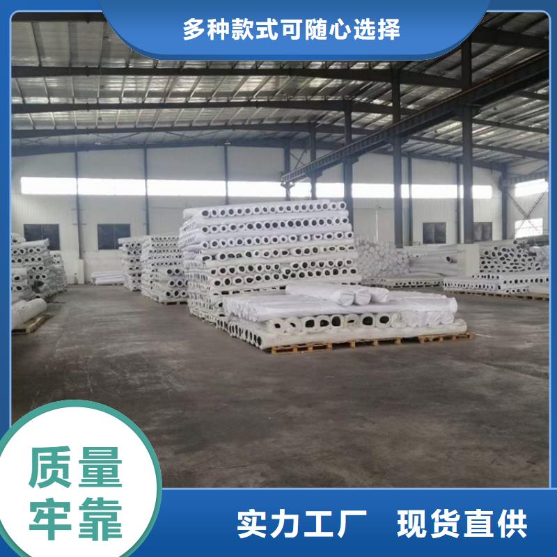 鋼塑土工格柵型號(hào)齊全