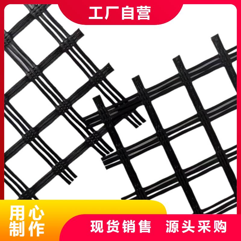 鋼塑土工格柵型號(hào)齊全