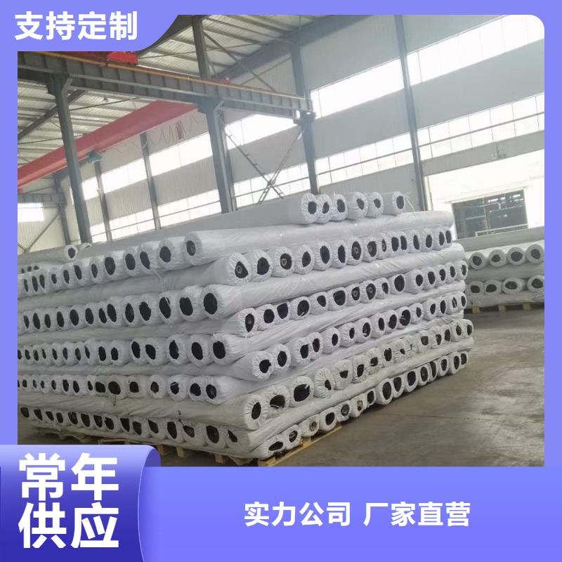 PP焊接土工格柵免費寄樣