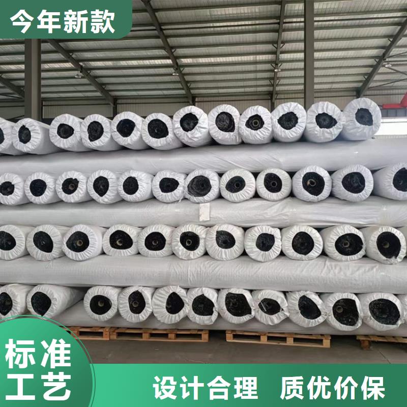 經(jīng)編土工格柵現(xiàn)貨供應(yīng)
