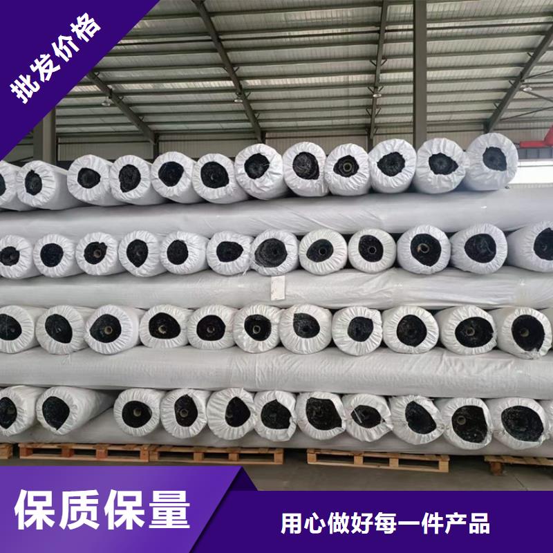 土工格柵玻纖土工格柵用心做品質(zhì)