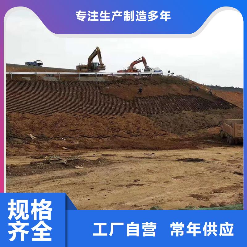 土工格室全國(guó)發(fā)貨