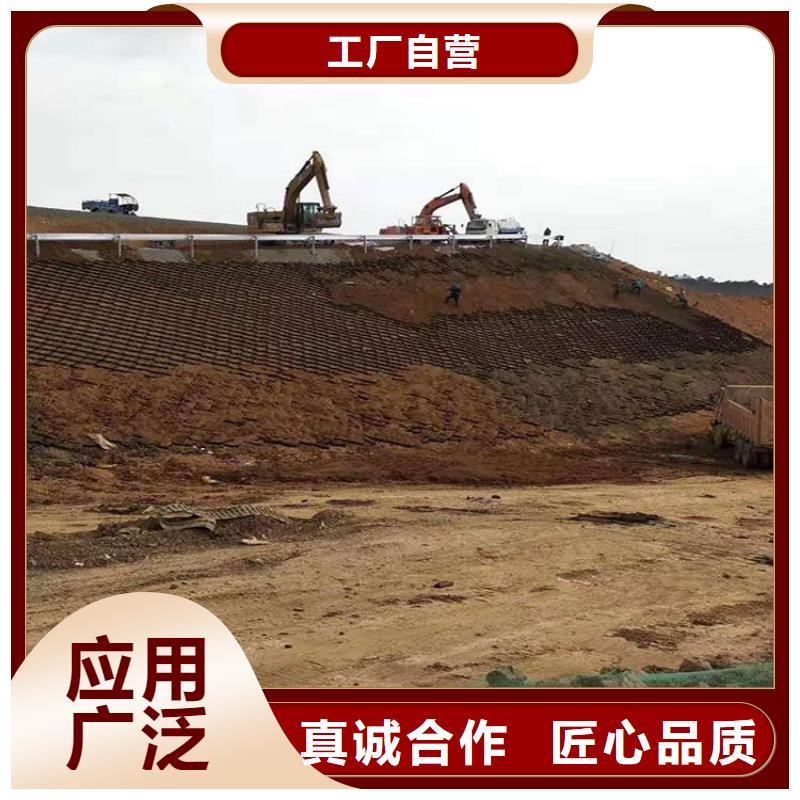 蜂巢土工格室可定制