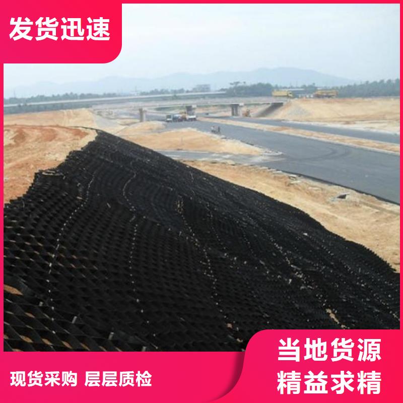 打孔土工格室生產(chǎn)廠家