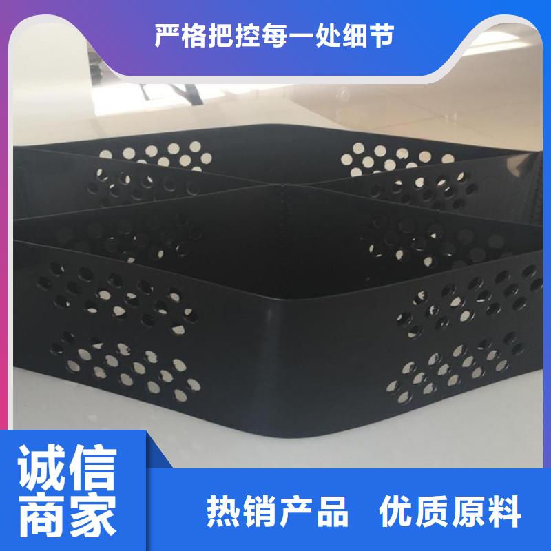 土工格室綠色土工格室廠家直銷售后完善