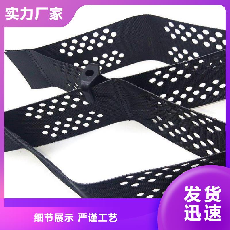 綠色土工格室可定制