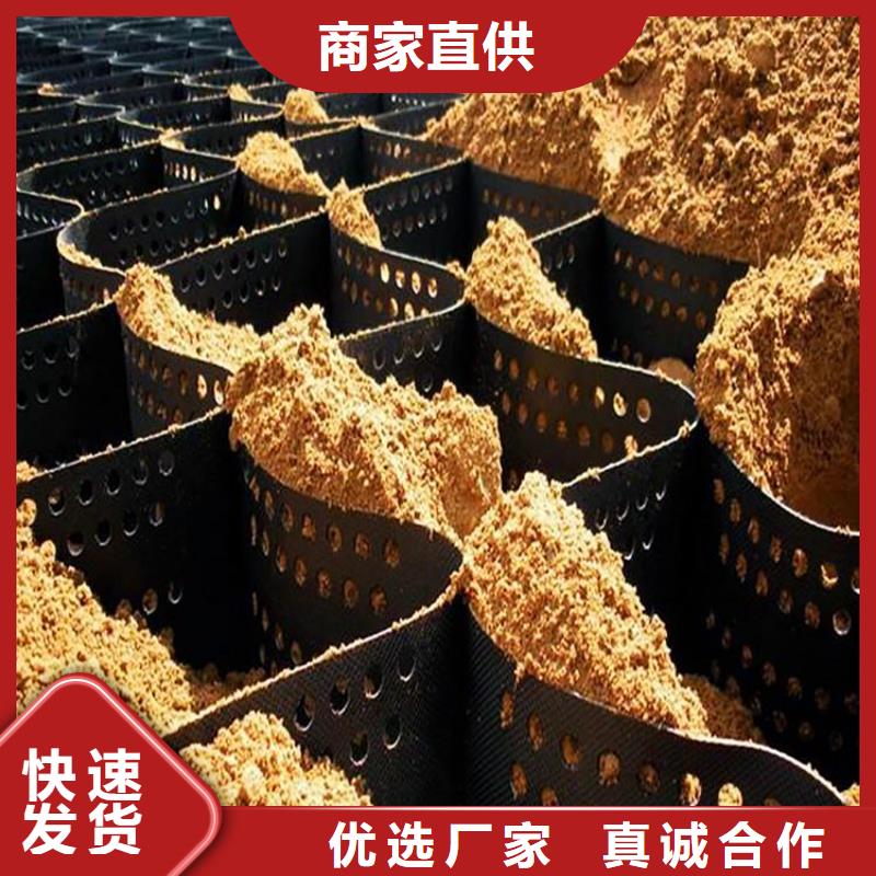 綠色土工格室免費咨詢