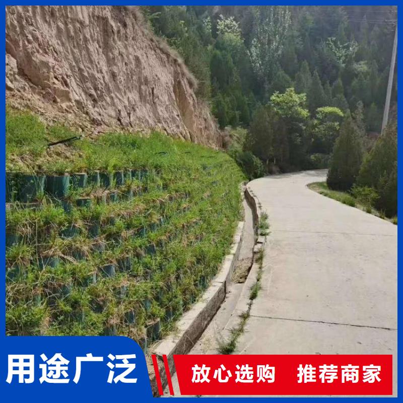 土工格室蜂巢土工格室工廠認證