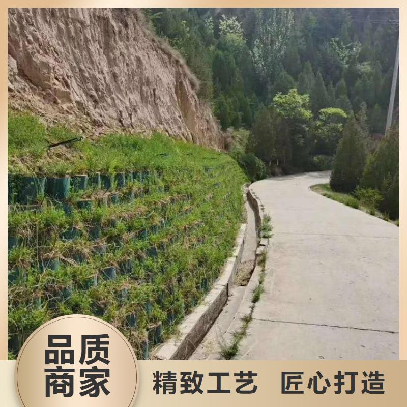 打孔土工格室型號齊全