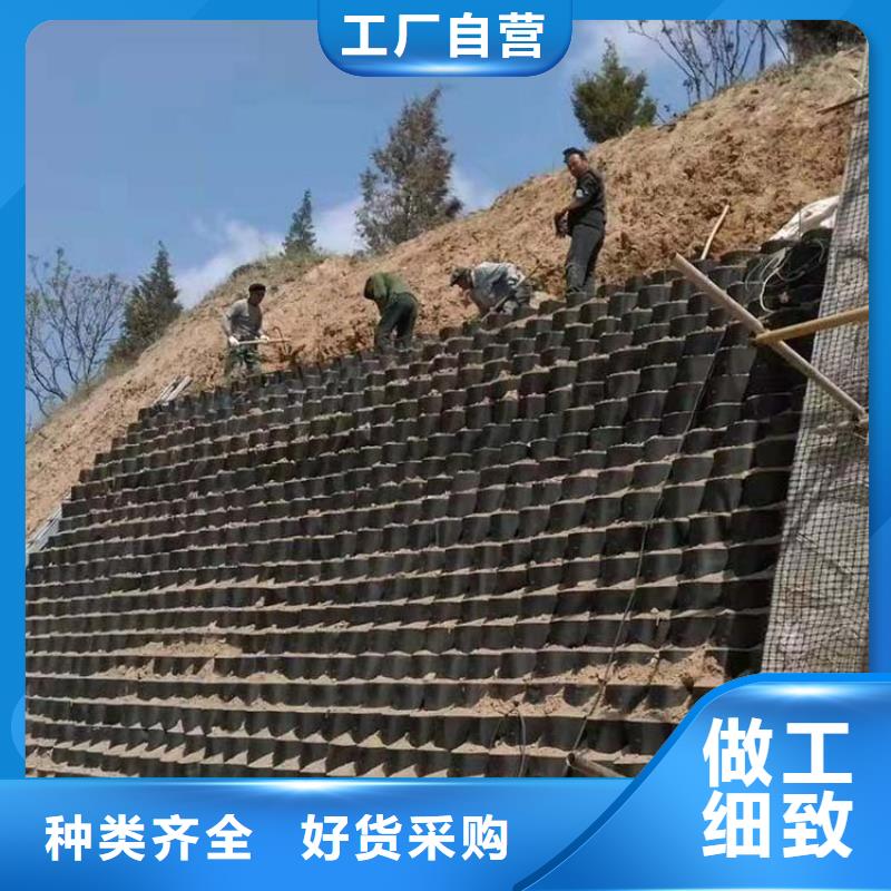 綠色土工格室可定制