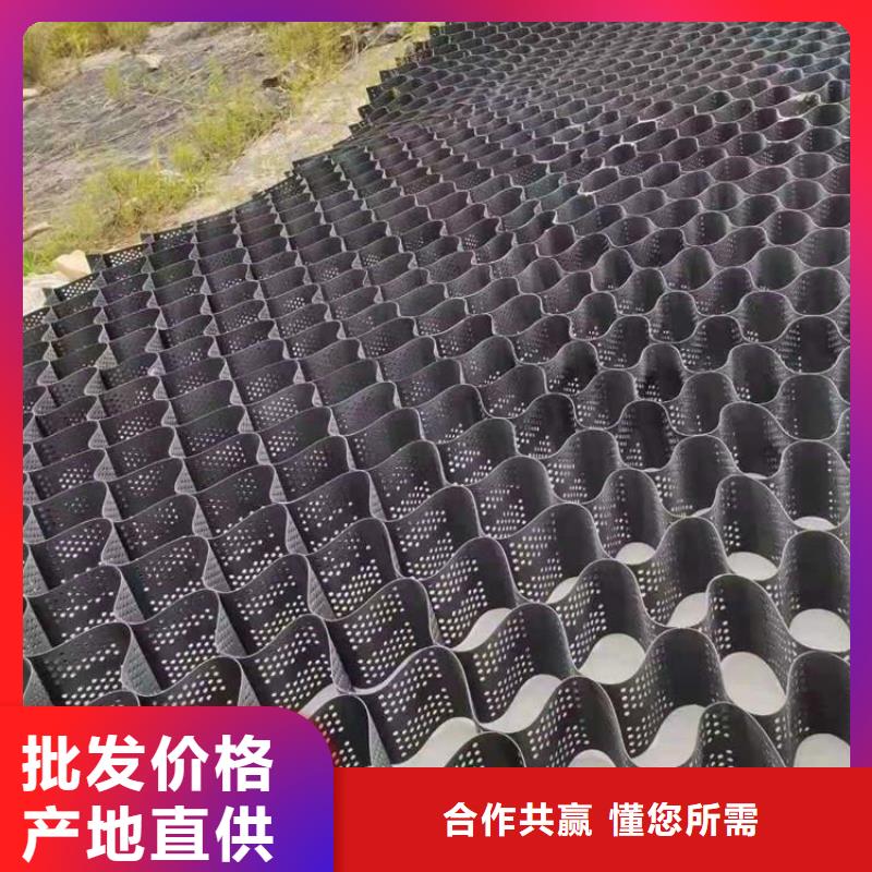 土工格室焊接土工格室買的放心