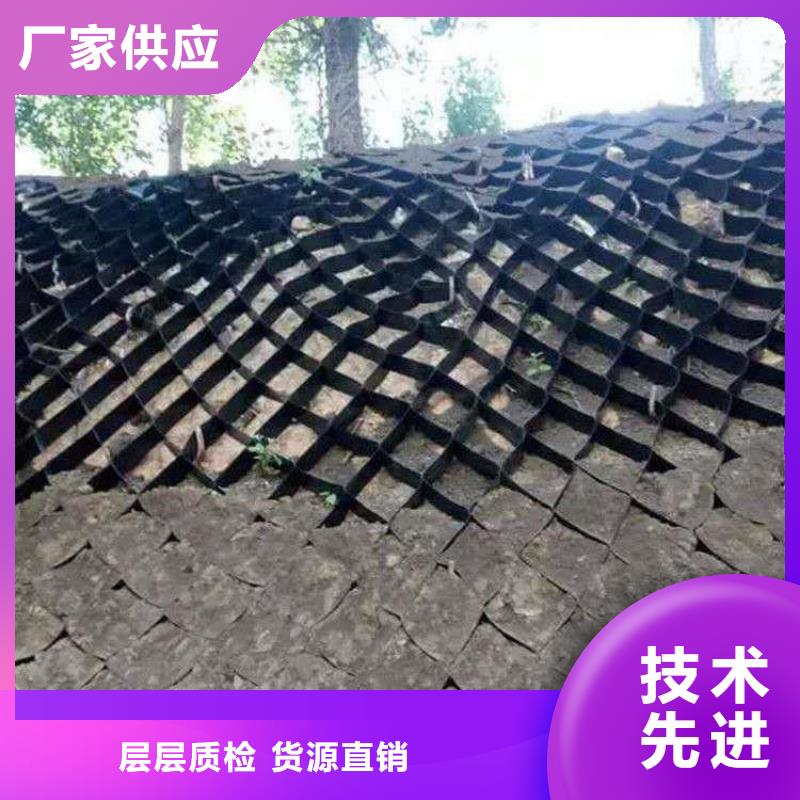土工格室土工格室廠家產(chǎn)地工廠
