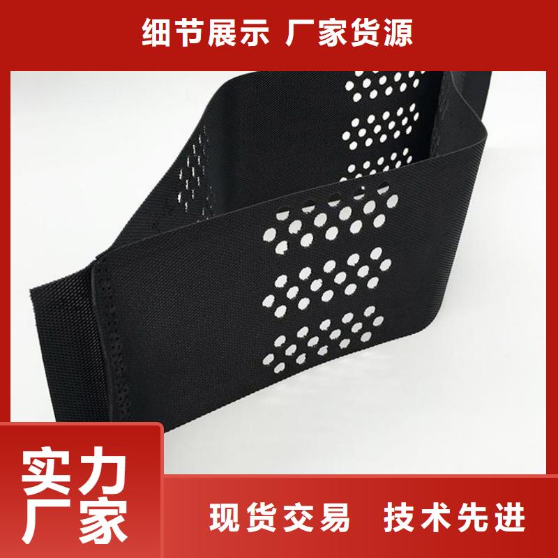 HDPE土工格室現(xiàn)貨供應(yīng)