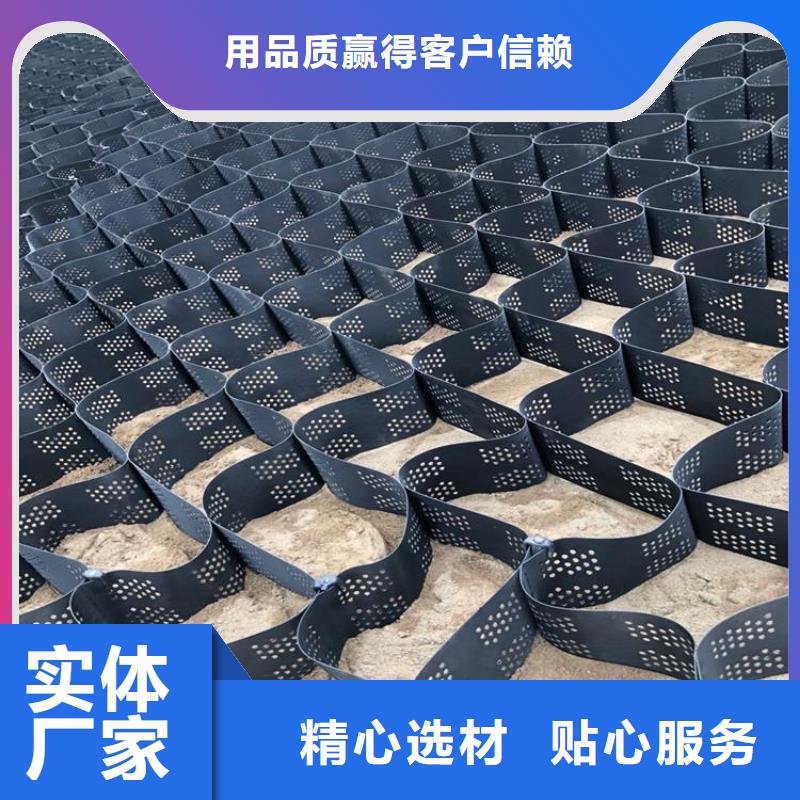 塑料土工格室全國發(fā)貨