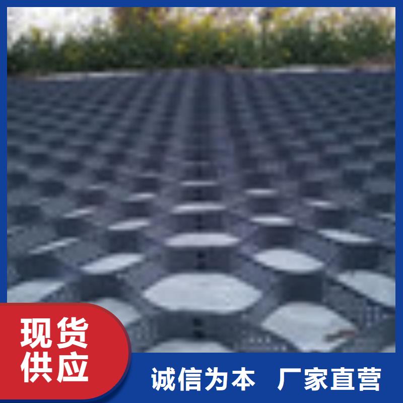 注塑土工格室現(xiàn)貨供應(yīng)