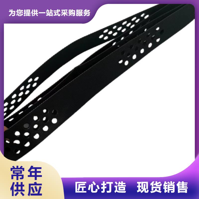 打孔土工格室生產(chǎn)廠家