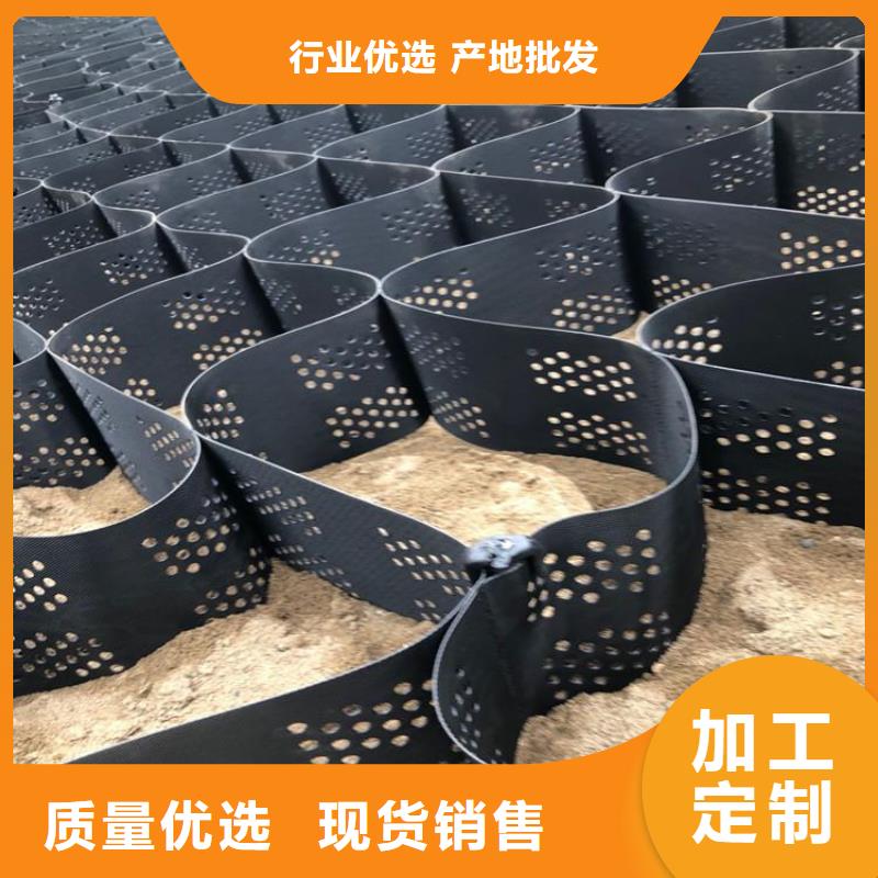 土工格室鉚接土工格室卓越品質保障