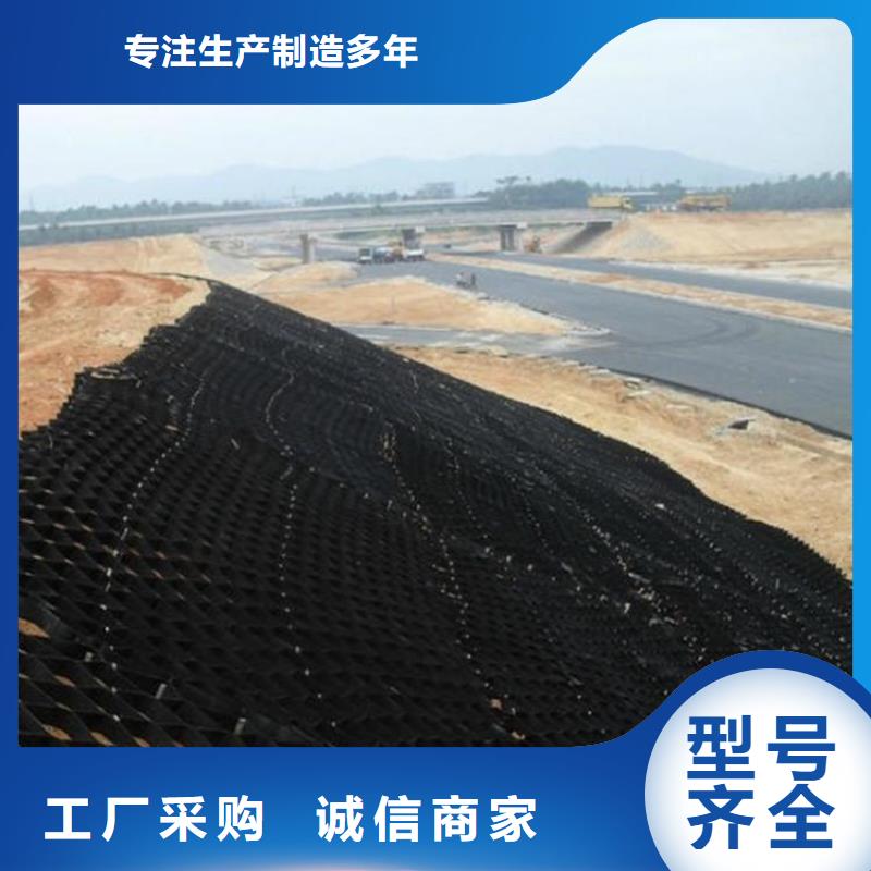 護坡土工格室型號齊全