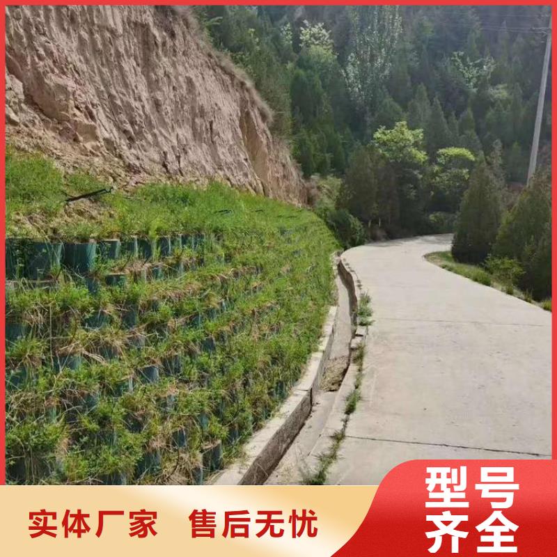 蜂巢土工格室型號齊全