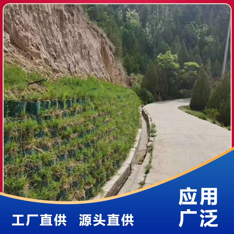 打孔土工格室生產(chǎn)基地