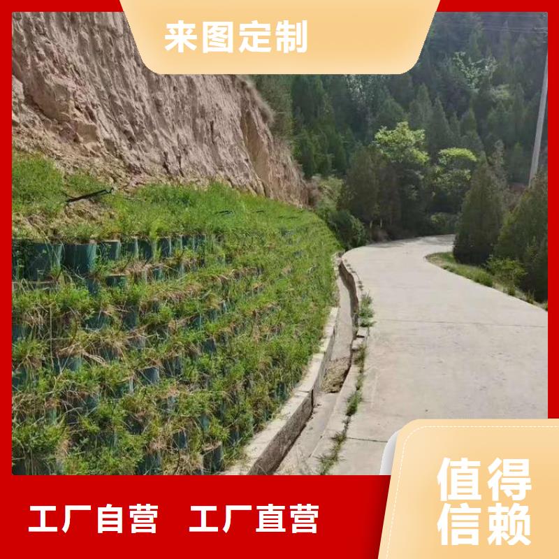 綠色土工格室免費咨詢