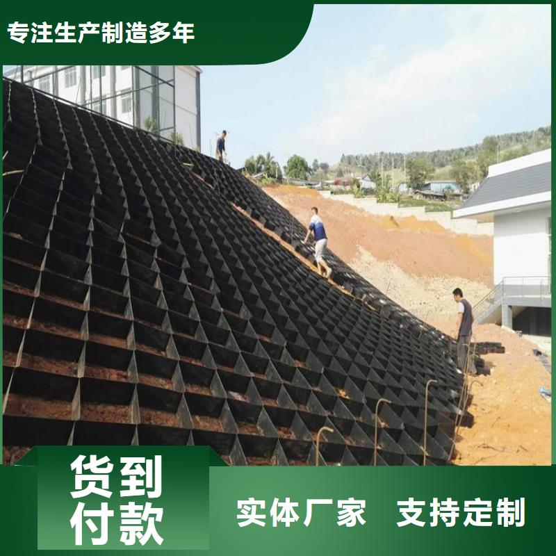 打孔土工格室生產(chǎn)廠家