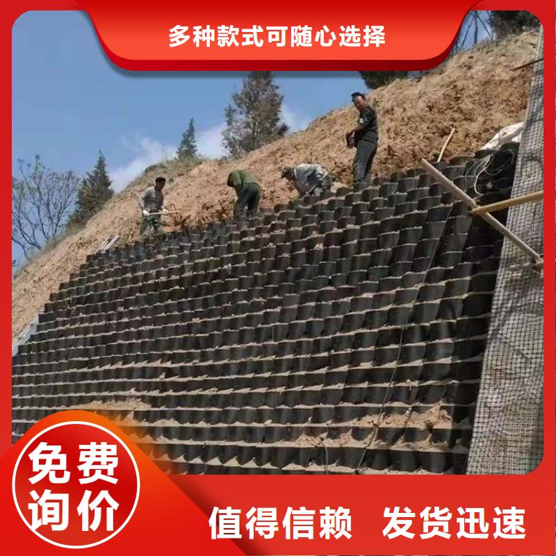 護(hù)坡土工格室現(xiàn)貨供應(yīng)