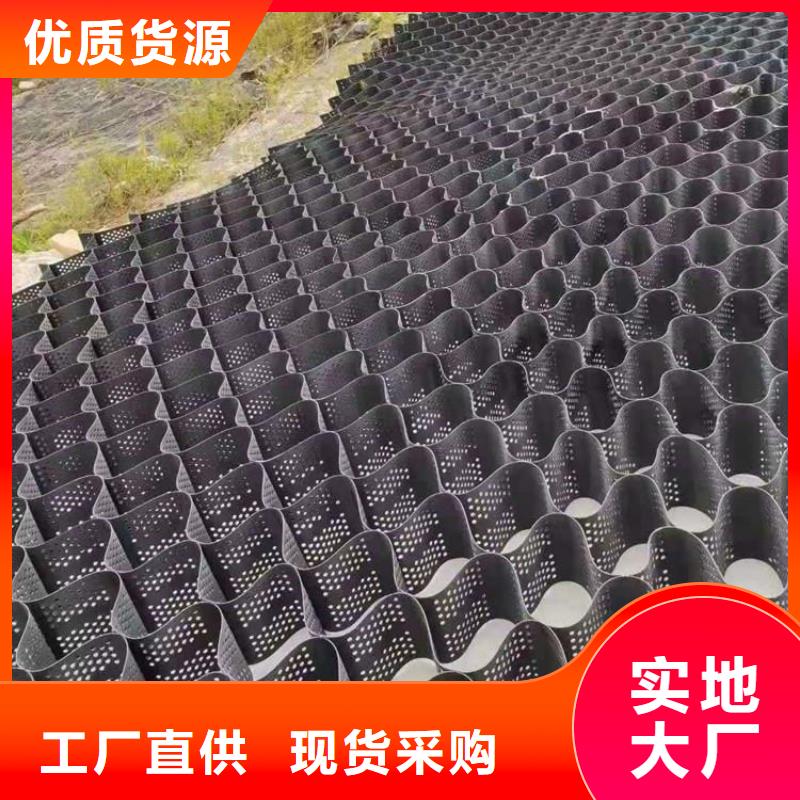 塑料土工格室全國發(fā)貨