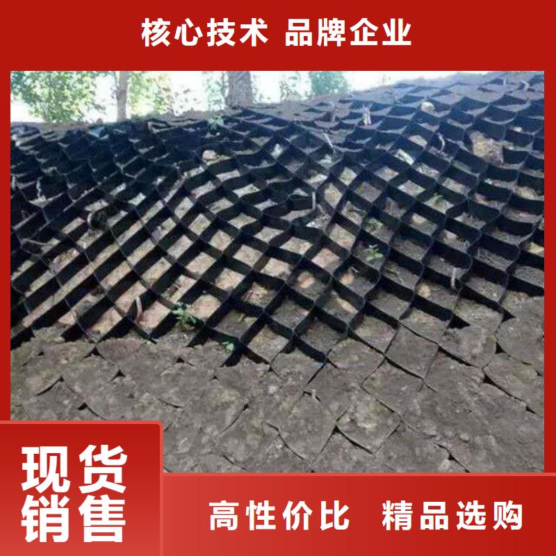 土工格室護(hù)坡土工格室專(zhuān)業(yè)供貨品質(zhì)管控