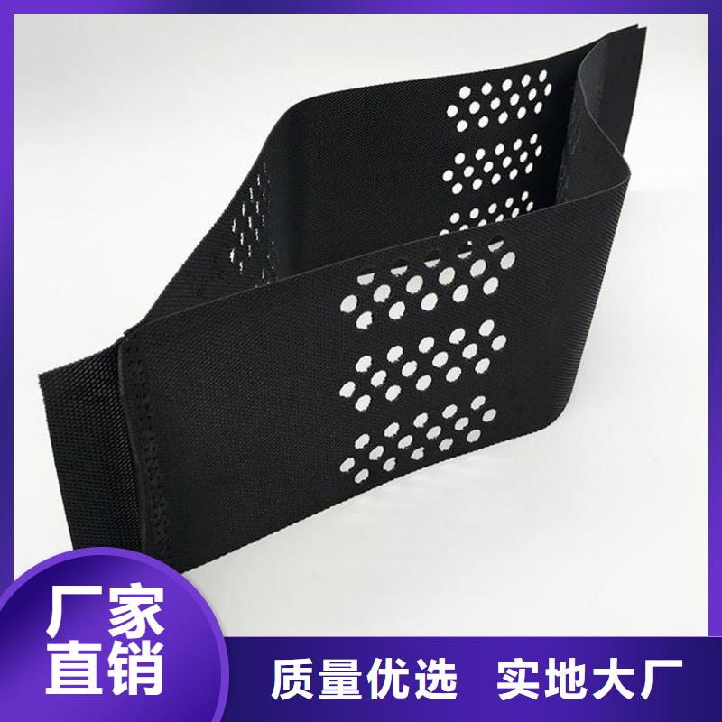 土工格室護(hù)坡土工格室專(zhuān)業(yè)供貨品質(zhì)管控