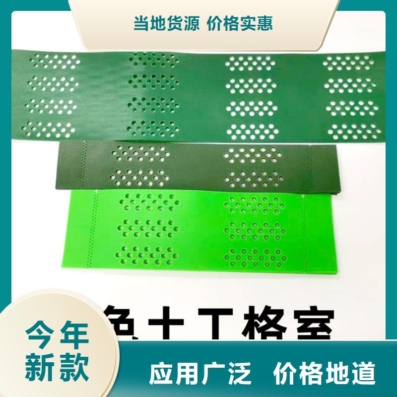 蜂巢土工格室型號齊全