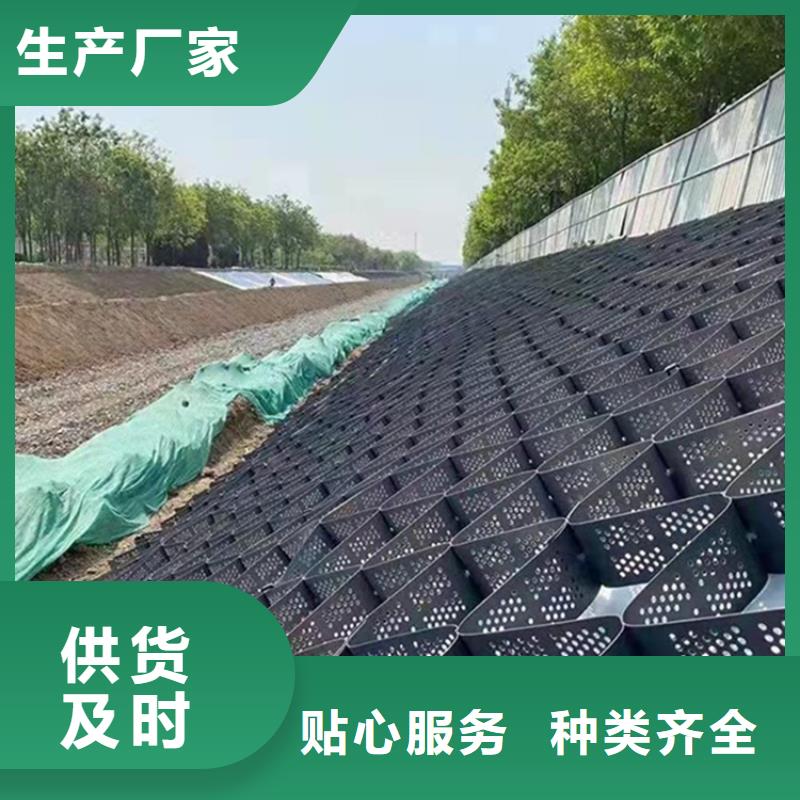 塑料土工格室全國(guó)發(fā)貨