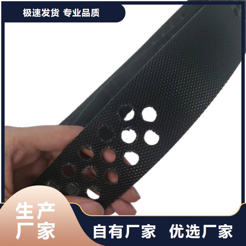 焊接土工格室型號(hào)齊全