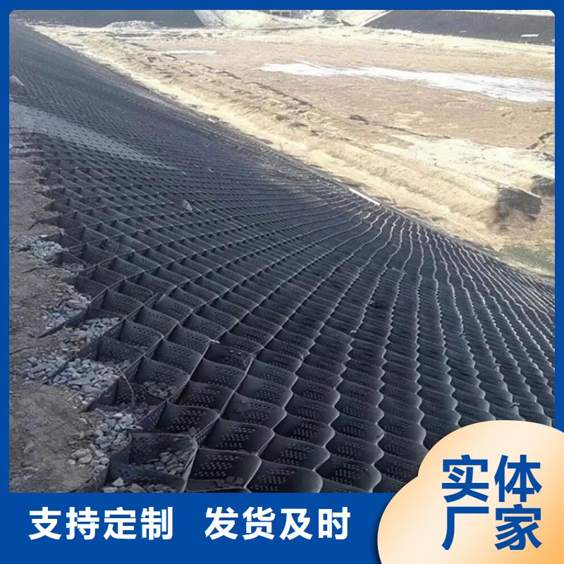 焊接土工格室型號(hào)齊全