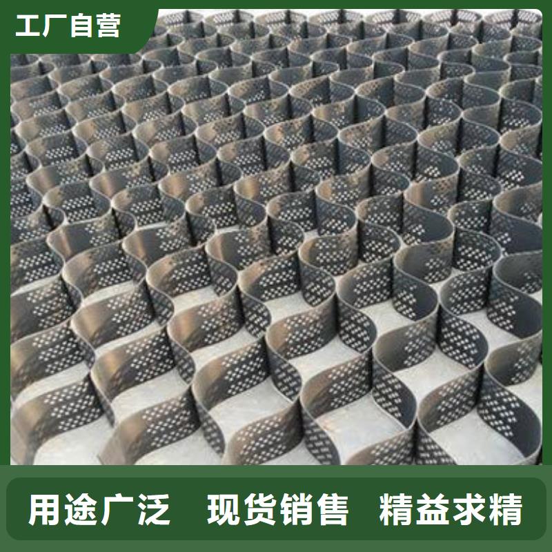 土工格室-護(hù)坡土工格室細(xì)節(jié)展示