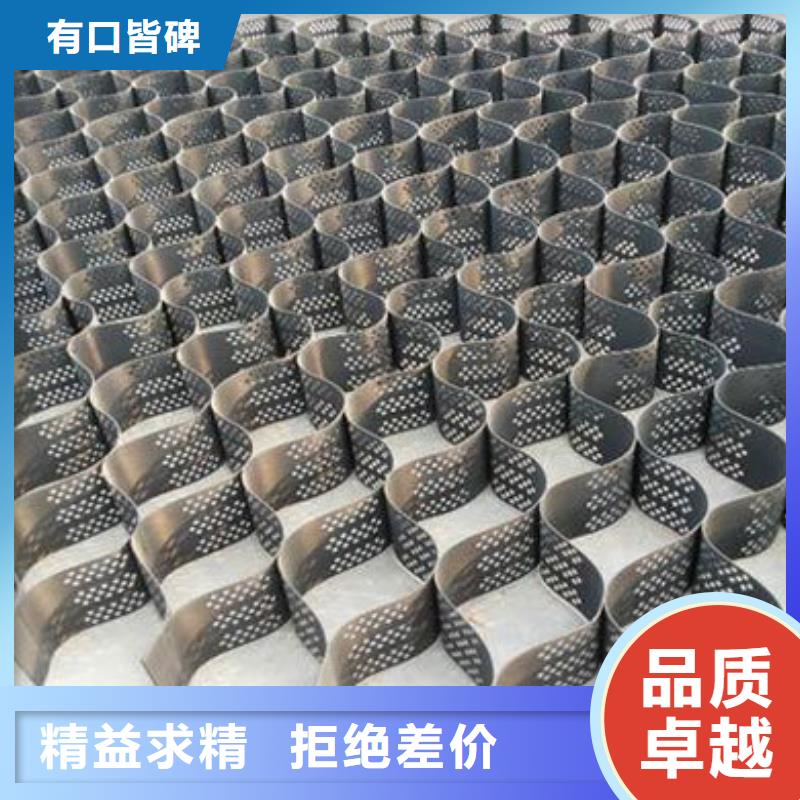 土工格室鉚接土工格室卓越品質(zhì)保障
