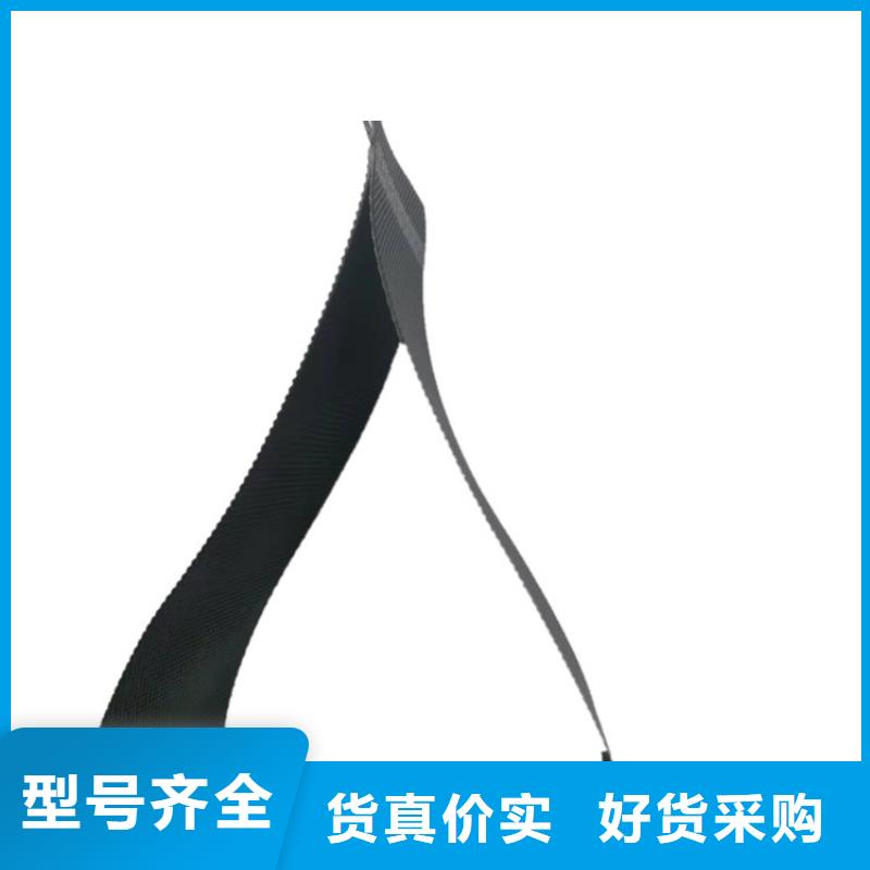 土工格室鉚接土工格室卓越品質(zhì)保障