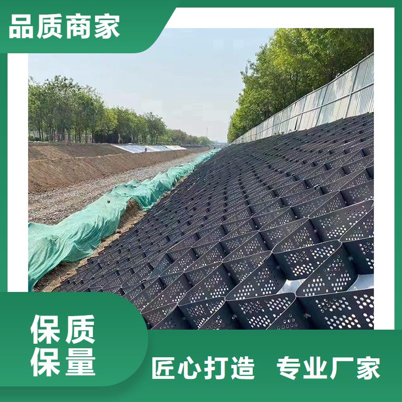 焊接土工格室型號(hào)齊全