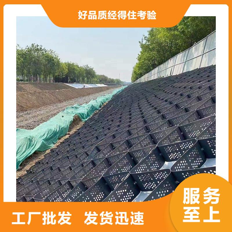土工格室鉚接土工格室卓越品質(zhì)保障