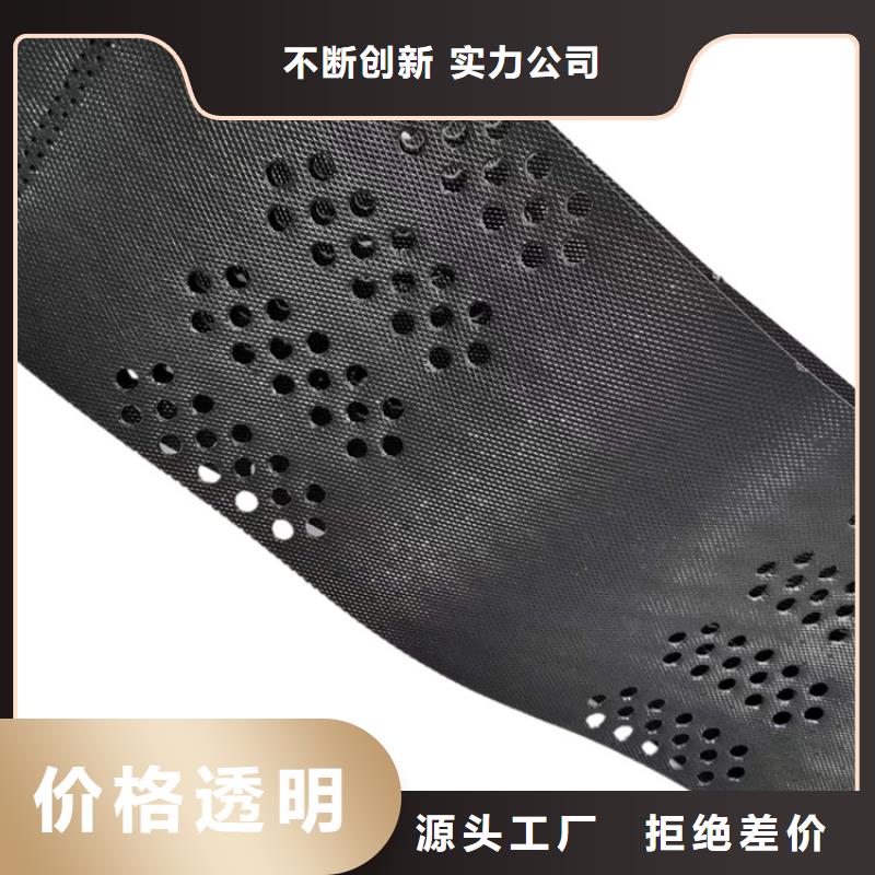 土工格室鉚接土工格室卓越品質(zhì)保障