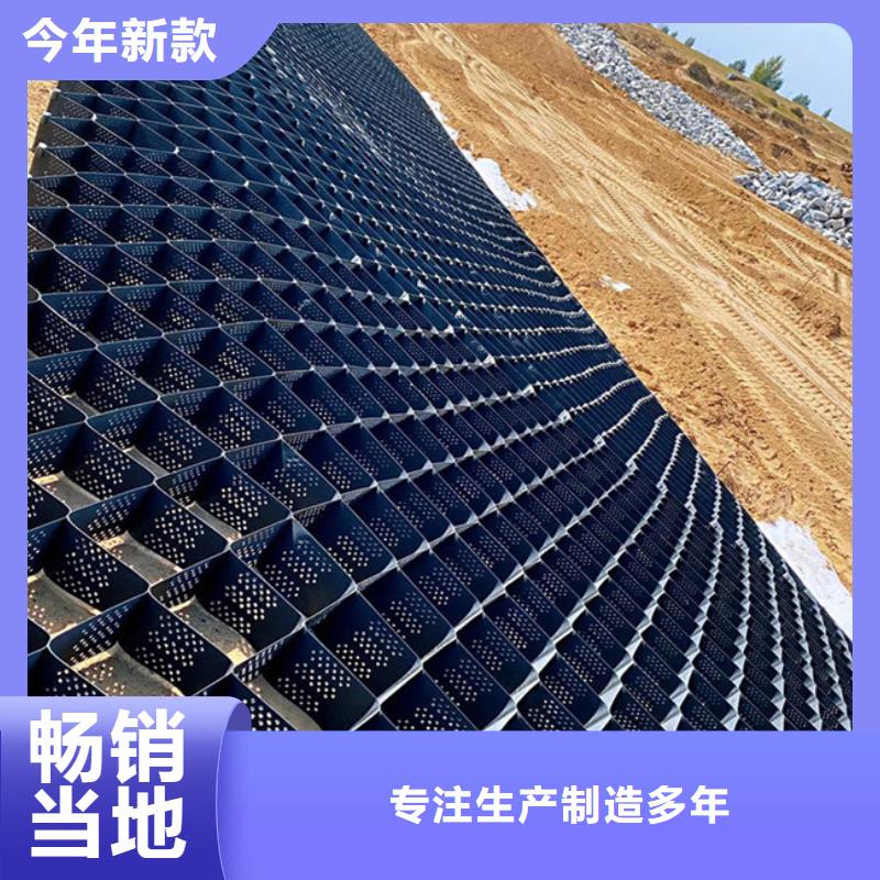 土工格室-護(hù)坡土工格室細(xì)節(jié)展示